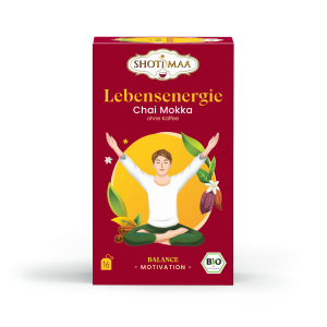 Ceai balance - lebensenergie - chai moka ( fara cafea ) bio 16dz x 2g 32g Shotimaa