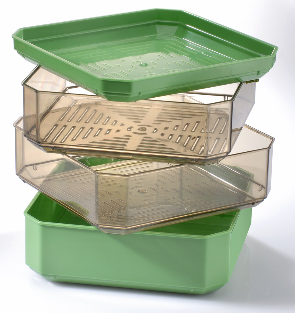 GERMOIRGermlineGermoiretagesvide_c8641beb-0c41-44dd-9bcb-61ab4eeb67e3