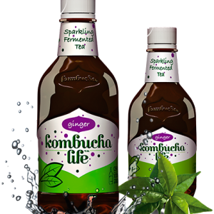 Kombucha cu ghimbir 500ml Kombucha Life