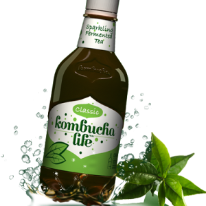 Kombucha clasic 500ml Kombucha Life